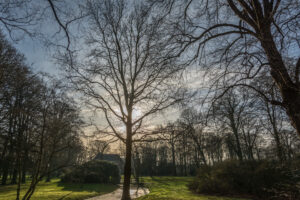 011-2015-12-28 Rijswijk en Scheveningen