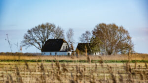 012-2015-11-28 Weerribben en Orchideenhoeve