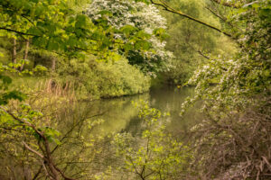 013-2014-05-04 Amsterdamse waterleidingduinen Les 6