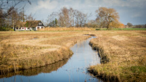 013-2015-11-28 Weerribben en Orchideenhoeve