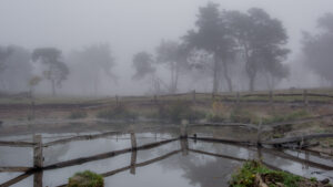 014-2015-11-08 Winterwandeling Rhenen