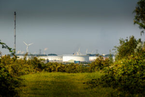 015-2015-08-22 Landtong met Mieke