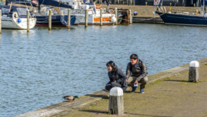 017-2015-04-12 Marken