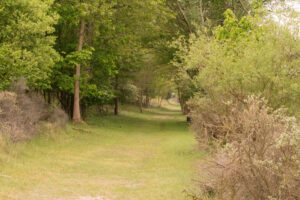 018-2014-05-04 Amsterdamse waterleidingduinen Les 6