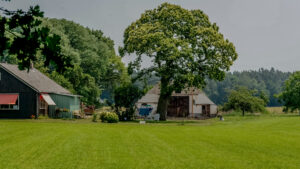 018-2015-07-04 Camping Warnsveld