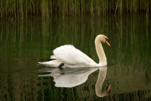 021-2014-05-04 Amsterdamse waterleidingduinen Les 6