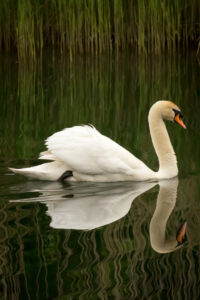 022-2014-05-04 Amsterdamse waterleidingduinen Les 6