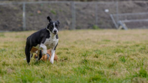 024-2015-02-14 Jo en Jose Park Overvoorde