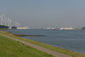 024-2015-08-22 Landtong met Mieke