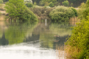 026-2014-05-04 Amsterdamse waterleidingduinen Les 6