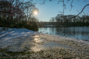 026-2014-12-28 Sneeuw Zuiderpark EO