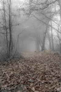 026-2015-11-08 Winterwandeling Rhenen
