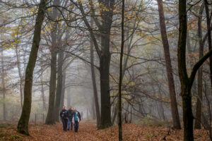 028-2015-11-08 Winterwandeling Rhenen