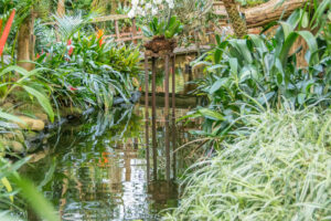 028-2015-11-28 Weerribben en Orchideenhoeve