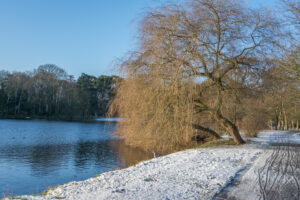 029-2014-12-28 Sneeuw Zuiderpark EO