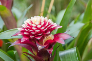 029-2015-11-28 Weerribben en Orchideenhoeve