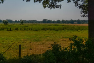 030-2015-07-04 Camping Warnsveld
