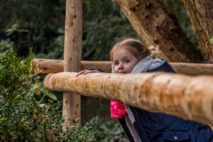 031-2015-12-12 Yill in dierenpark Rhenen