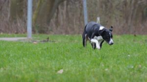 032-2015-02-14 Jo en Jose Park Overvoorde