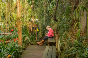 032-2015-11-28 Weerribben en Orchideenhoeve