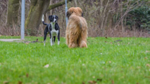 033-2015-02-14 Jo en Jose Park Overvoorde