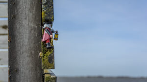 033-2015-04-12 Marken