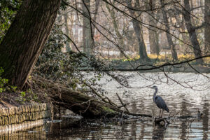 034-2014-12-28 Sneeuw Zuiderpark EO