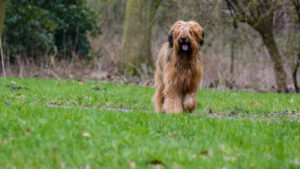 034-2015-02-14 Jo en Jose Park Overvoorde