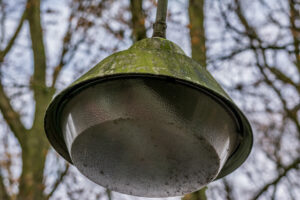 034-2015-12-12 Yill in dierenpark Rhenen