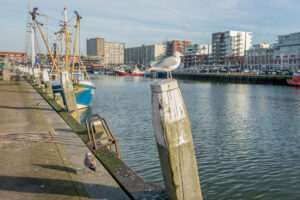 034-2015-12-28 Rijswijk en Scheveningen