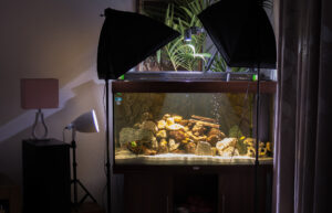 036-2015-01-17 Aquarium