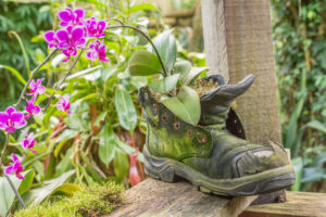 037-2015-11-28 Weerribben en Orchideenhoeve