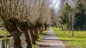 039-2015-03-22 Park Overvoorde