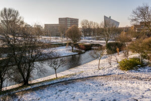040-2014-12-28 Sneeuw Zuiderpark EO