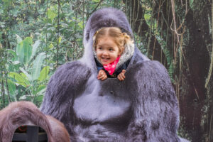 040-2015-12-12 Yill in dierenpark Rhenen