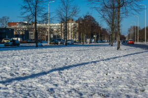 041-2014-12-28 Sneeuw Zuiderpark EO