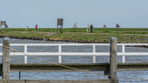 041-2015-04-12 Marken