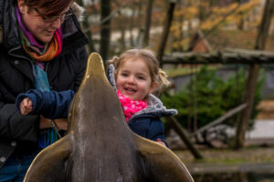 041-2015-12-12 Yill in dierenpark Rhenen