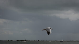 042-2014-08-31 Purmerent en Volendam