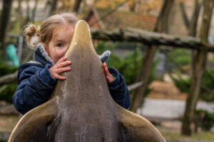 042-2015-12-12 Yill in dierenpark Rhenen