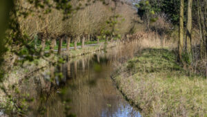 044-2015-03-22 Park Overvoorde