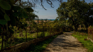 044-2015-10-01 Corfu