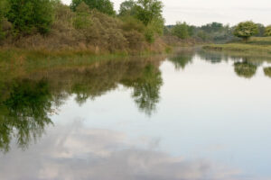 047-2014-05-04 Amsterdamse waterleidingduinen Les 6
