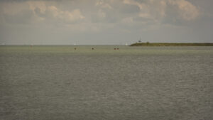 047-2014-08-31 Purmerent en Volendam