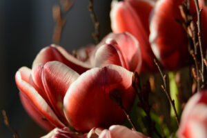 048-2015-02-17 Bloemen