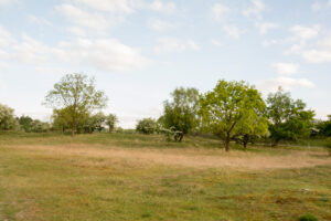 049-2014-05-04 Amsterdamse waterleidingduinen Les 6