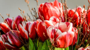 049-2015-02-17 Bloemen
