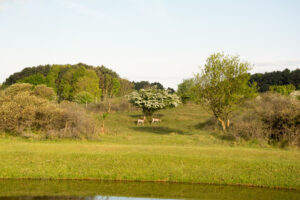 050-2014-05-04 Amsterdamse waterleidingduinen Les 6