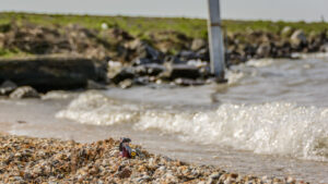 052-2015-04-12 Marken