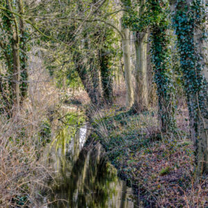 053-2015-02-22 Park Overvoorde